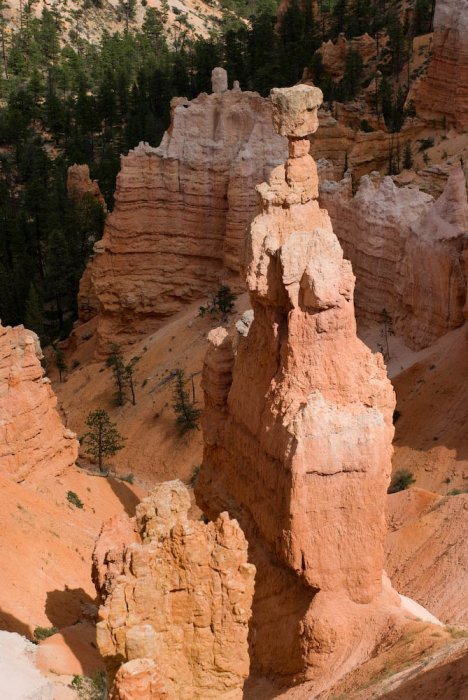 Utah-Bryce Canyon-IMGP3834