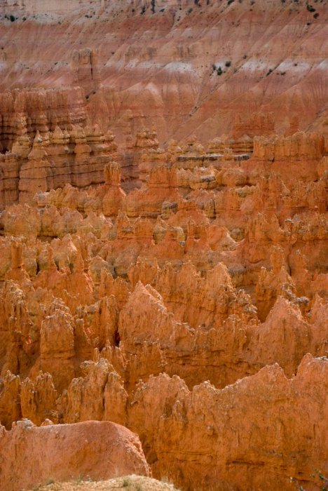 Utah-Bryce Canyon-IMGP3847