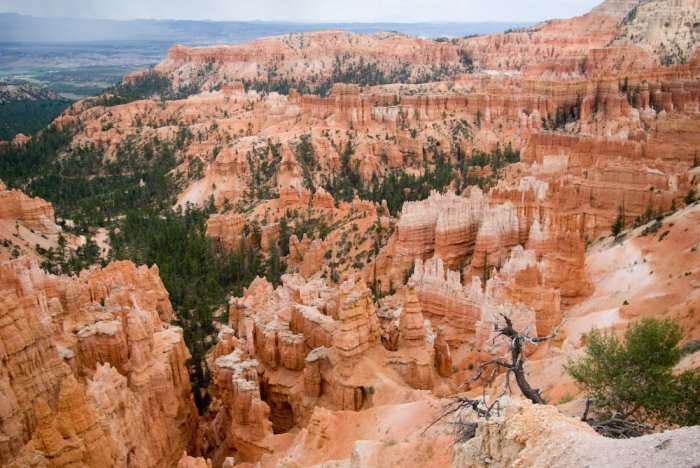 Utah-Bryce Canyon-IMGP3894