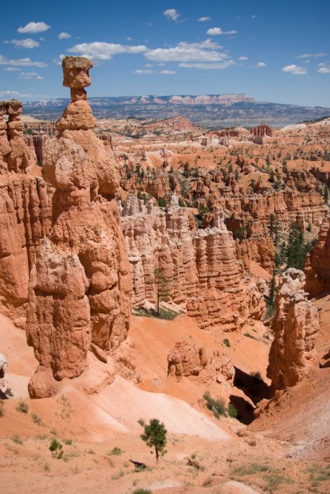 Utah-Bryce Canyon-IMGP4178