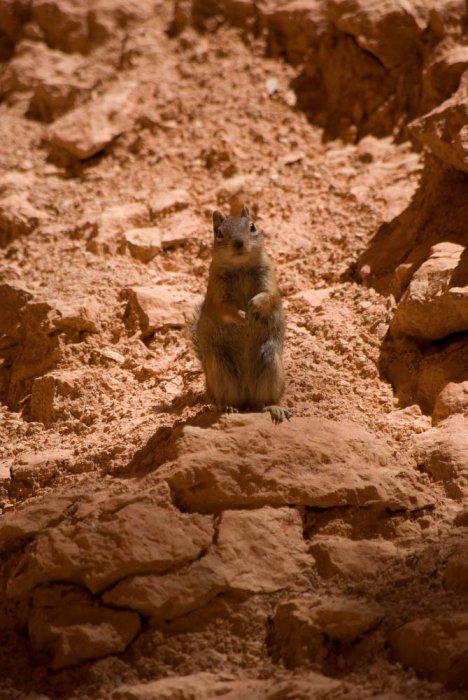 Utah-Bryce Canyon-IMGP4186