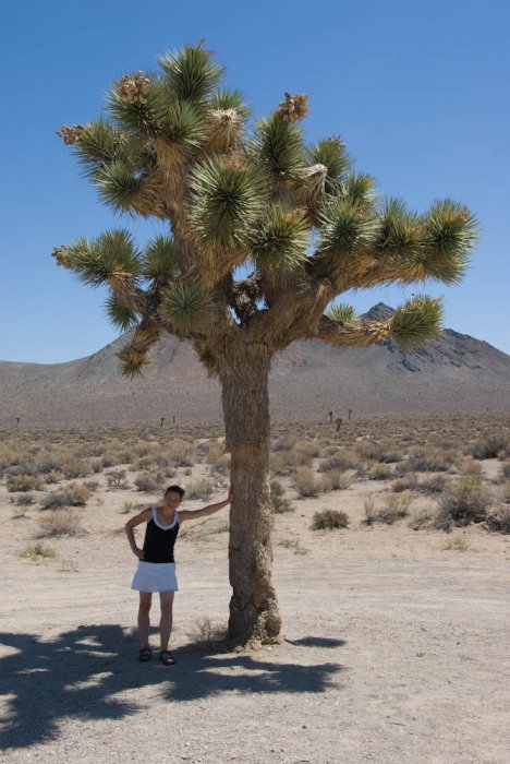 Californie-Death Valley-IMGP3440