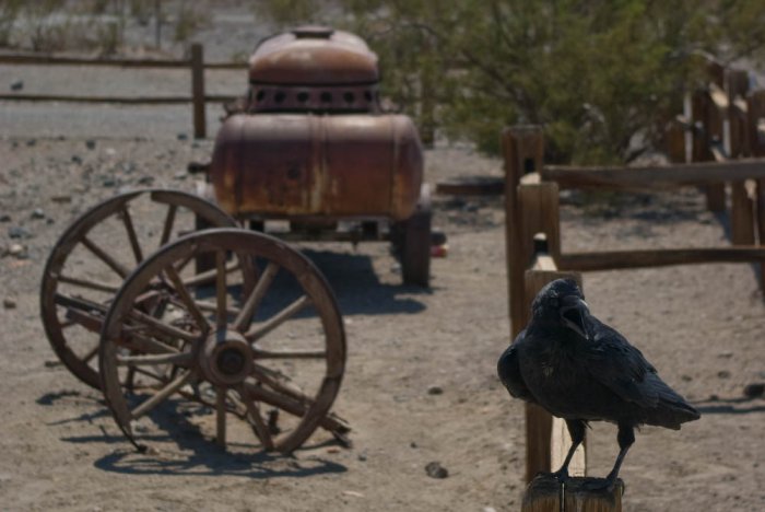 Californie-Death Valley-IMGP3481