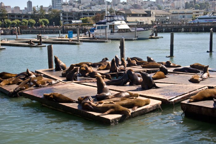 Californie-San Francisco-IMGP2715