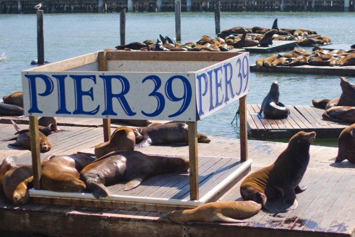 Californie-San Francisco-IMGP2718