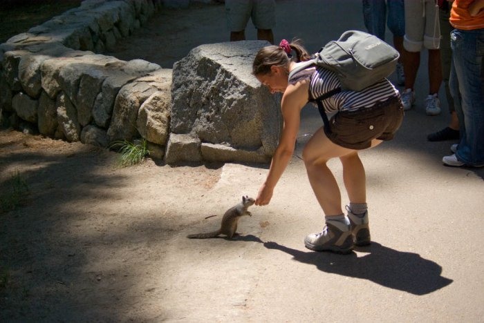 Californie-Yosemite-IMGP3193