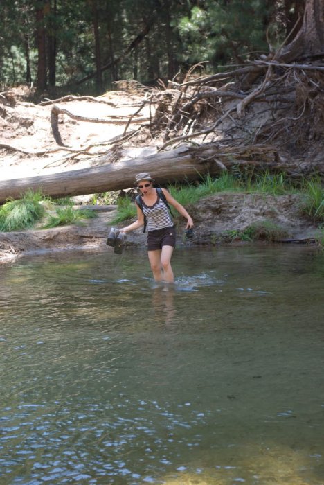 Californie-Yosemite-IMGP3256