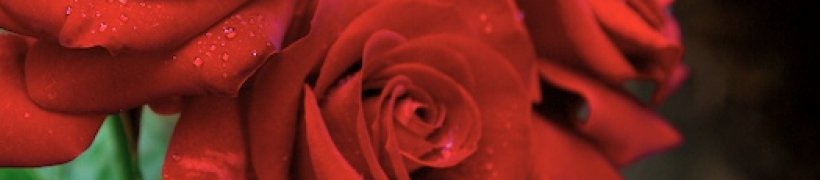 2007-05-04-4571