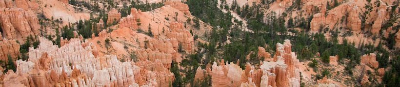 Utah-Bryce Canyon-IMGP3922